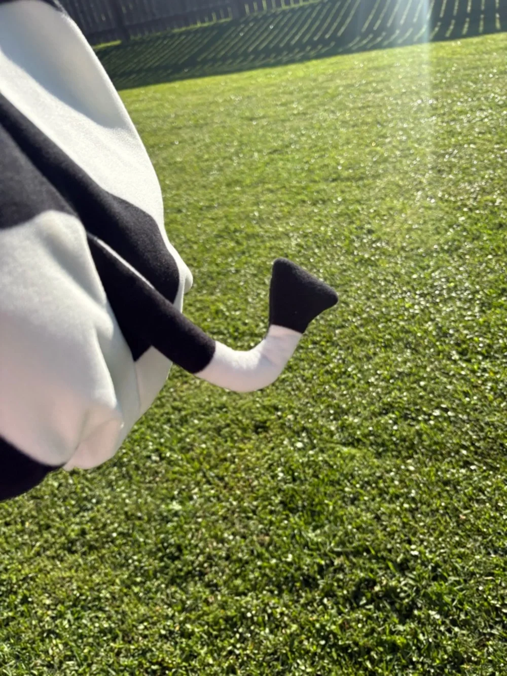 Carter’s cow costume 3-6 months Zip up hooded body only GUC - Picture 5 of 8